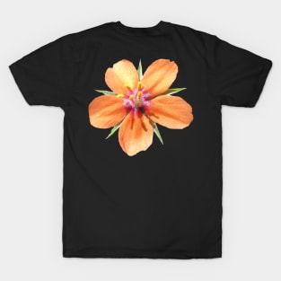 orange flower, flowers, nature, blooms, nature T-Shirt